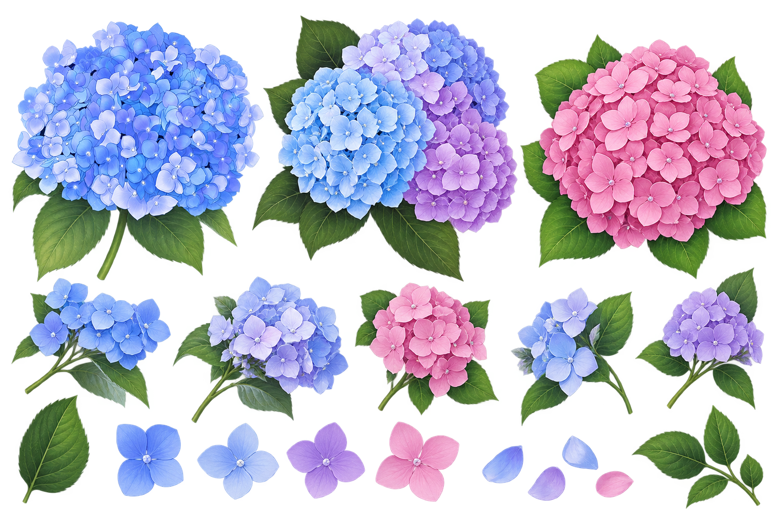 Fresh blue, lavender, and pink hydrangeas with green leaves